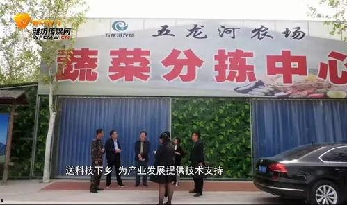 山东潍坊昌邑头条新闻,聚焦昌邑发展新动态，共话城市未来蓝图