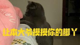 吃瓜哈咪,揭秘娱乐圈背后的那些事儿