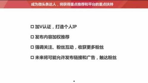 头条里有800多粉丝吗,粉丝突破800，揭秘我的成长之路