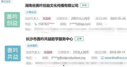 网红在公司都干些什么呢,揭秘他们在职场中的多元角色与贡献