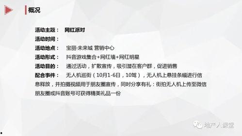 网红活动策划案,创意策划案深度解析